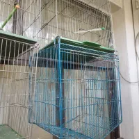 قفس پرنده بزرگ و کوچک نوجنس درجه1قناری مرغ عشق سره