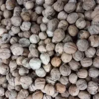 مغز سفید و روشن (عکس‌ها گویای کیفیت هست)