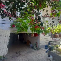 دربست سنددار ۱۴۱ متری شانزده متری دوم