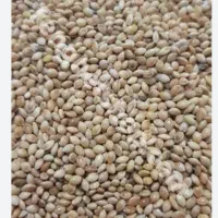 ارزن درجه یک