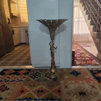 جامیوه ای کنارسالنی