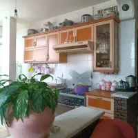 اجاره آپارتمان ۲۰متری زاد