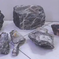 سنگ اکواریوم