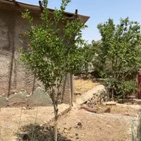 پردیس واصفجان (خانلرآباد،هیزم دره)|فروش زمین و ملک کلنگی|پردیس, واصفجان|دیوار