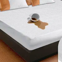 محافظ تشک ضدآب رویا