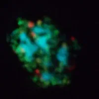 گوهرشب تاب طبیعی|جواهرات|تهران, آذربایجان|دیوار