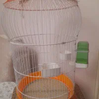 قفس پرنده|لوازم جانبی حیوانات|پرند, فاز ۱|دیوار