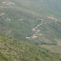 فروش برنج دونوج