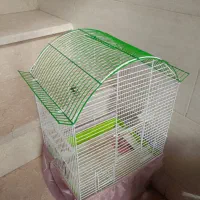 قفس پرنده