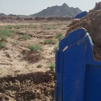 خاک باغچه درجه 1مخصوص باغچه ودرختکاری بانیسان|خدمات باغبانی و درختکاری|زاهدان, |دیوار