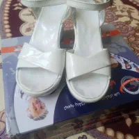 کفش مجلسی