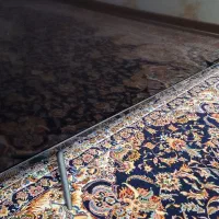 تلویزیون اکولوکس ۶۵ اینچ|تلویزیون و پروژکتور|اراک, |دیوار