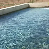 جذب نیرو متخصص پرورش ابزیان