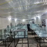 اکواریوم ریملس تولید مستقیم بدون واسطه