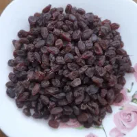 کشمش افتابی