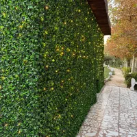 مرکز اصلی پخش چمن مصنوعی|مصالح و تجهیزات ساختمان|تهران, جوانمردان (اندیشه)|دیوار