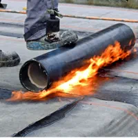 ایزوگام و قیرگونی قاسمی|خدمات پیشه و مهارت|همدان, |دیوار