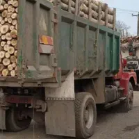 خرید چوب به قیمت روز|خدمات باغبانی و درختکاری|زنجان, |دیوار