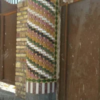 اجر نما لعابی و غیر