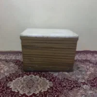 یخدان ماهی بزرگ