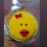 آموزش اصولی موچی ژاپنی