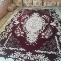 فرش ۱۲ متری|فرش|شیراز, کوشک میدان|دیوار