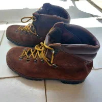 کفش ایمنی کار