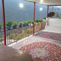 فروش ویلا جنگلی