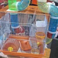 قفس|لوازم جانبی حیوانات|رشت, انصاری|دیوار