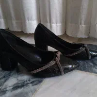 چند عدد کفش در حد نو|کیف، کفش، کمربند|دورود, |دیوار