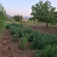 وسایل خانە باغ