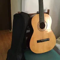 گیتار|گیتار، بیس، امپلیفایر|بوشهر, |دیوار