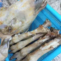 ۵عدد کله پاچه