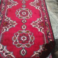 قالیچه دستباف|فرش|تربت‌حیدریه, شهید قرنی|دیوار