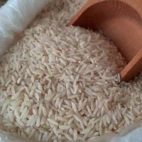 فروش برنج طارم محلی