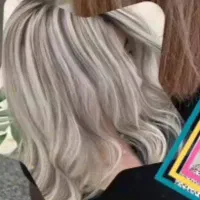 شینیون درفردیس ورنگ مودر فردیس وپروتین