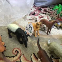 فیگور|کلکسیون و سرگرمی|تهران, وحیدیه|دیوار