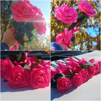 رز روبانی|گل مصنوعی|مشگین شهر, |دیوار