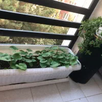 فروش آپارتمان درگلستان یکم|فروش آپارتمان|کرج, عظیمیه|دیوار