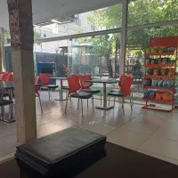 کارگر ظرف شور خانمم