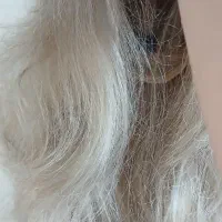 کلاه گیس بلوند و کلیپس مویی|آرایشی، بهداشتی، درمانی|تهران, باغ فیض|دیوار