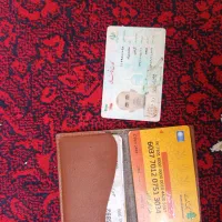 مدارک پیدا شده