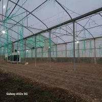 گلخانه سازه پایه اسپانیایی|ماشین‌آلات صنعتی|شاهرود, |دیوار