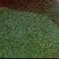 آویشن تازه