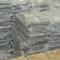 لباس نظامی و شکار وبسیجی خارجی عمده و تک|لباس|بندر گناوه, |دیوار