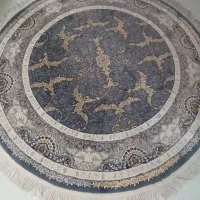 فرشی جذاب وبه روز رنگ طوسی در حد نو|فرش|همدان, |دیوار