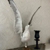پرنده و گلدان چوبی