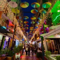 تور وان گروهی