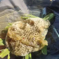 عسل طبیعی|خوردنی و آشامیدنی|رامشیر, |دیوار