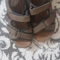 دوعددکفش